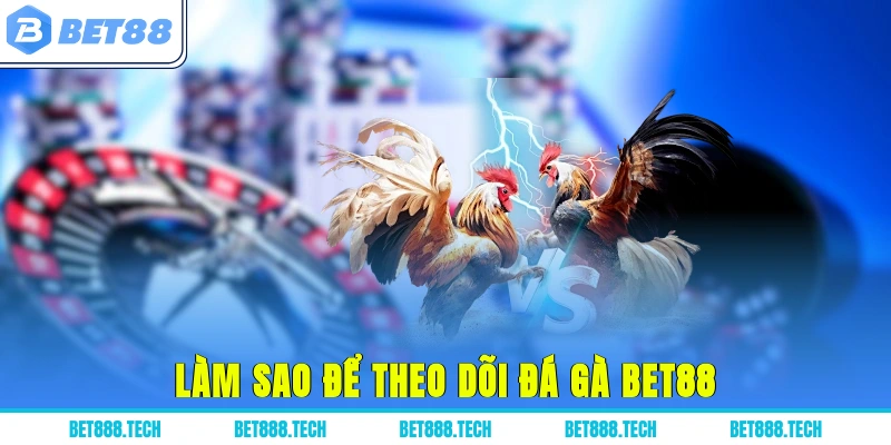 Làm sao để theo dõi đá gà Bet88